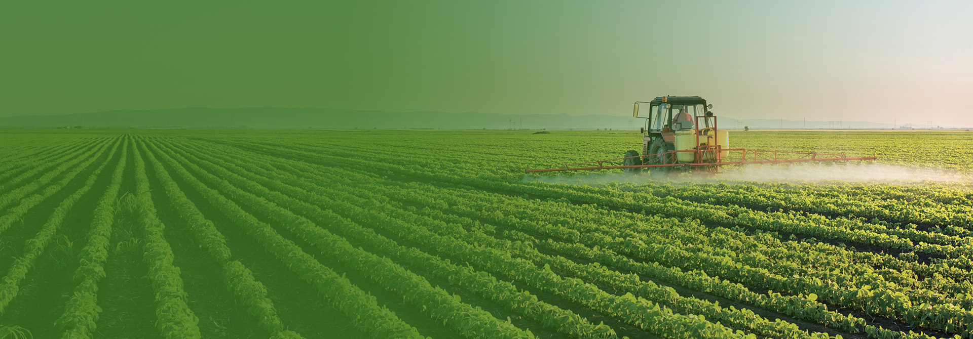 Image: Merck Moments